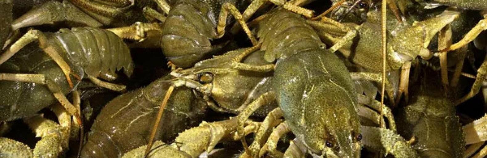  ������ ���������� �������� ����� �������� ���� �������� ������� 