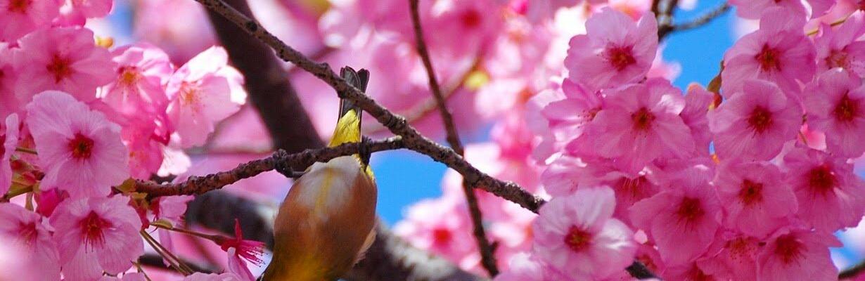  ������ ����� ���� ������ ����� 