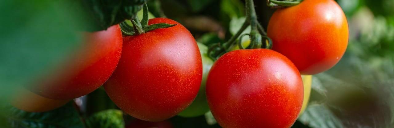  ������� ����� ��� ��������� ������� ������ 