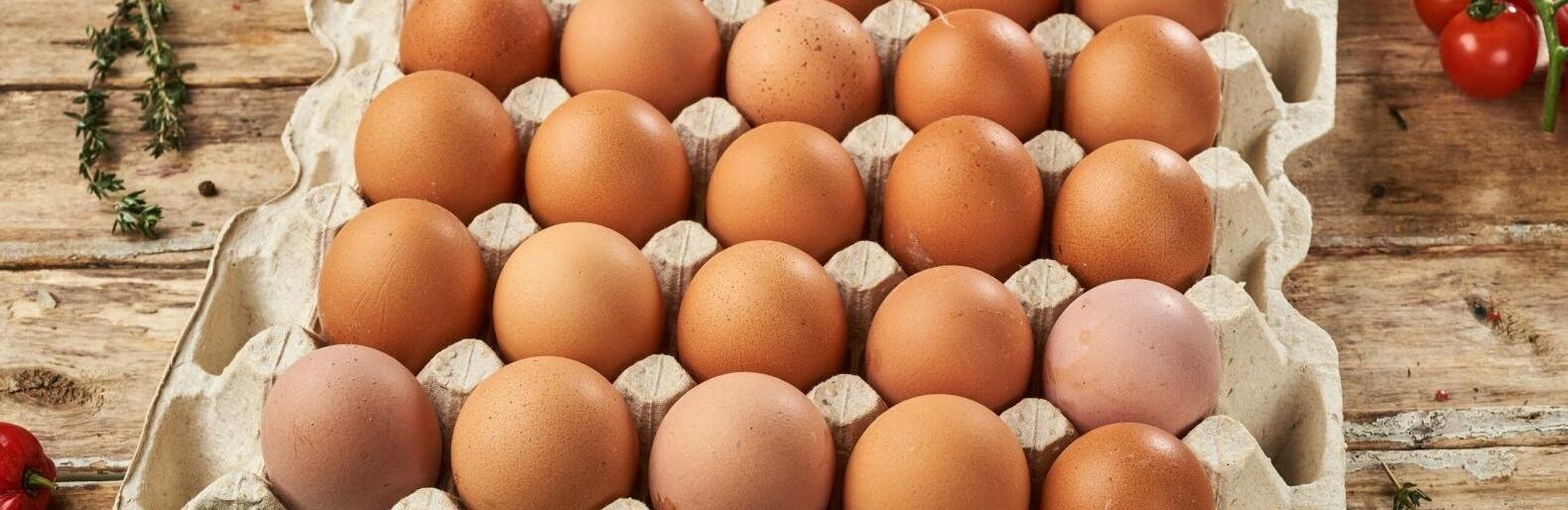  ���� �������� ������ �������� ������ ���� ������������� ����� 