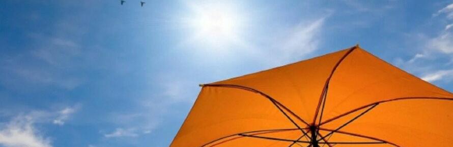  ����� 29-34 ���� �������� ���� ������ ������� 