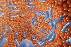  ���� ��������� �������������� ����� ������ �������� 