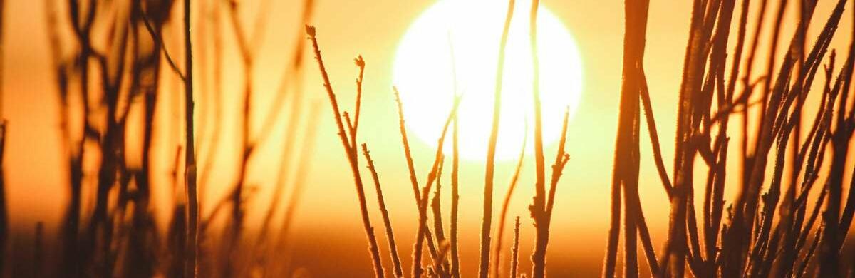 ����: 048.ua