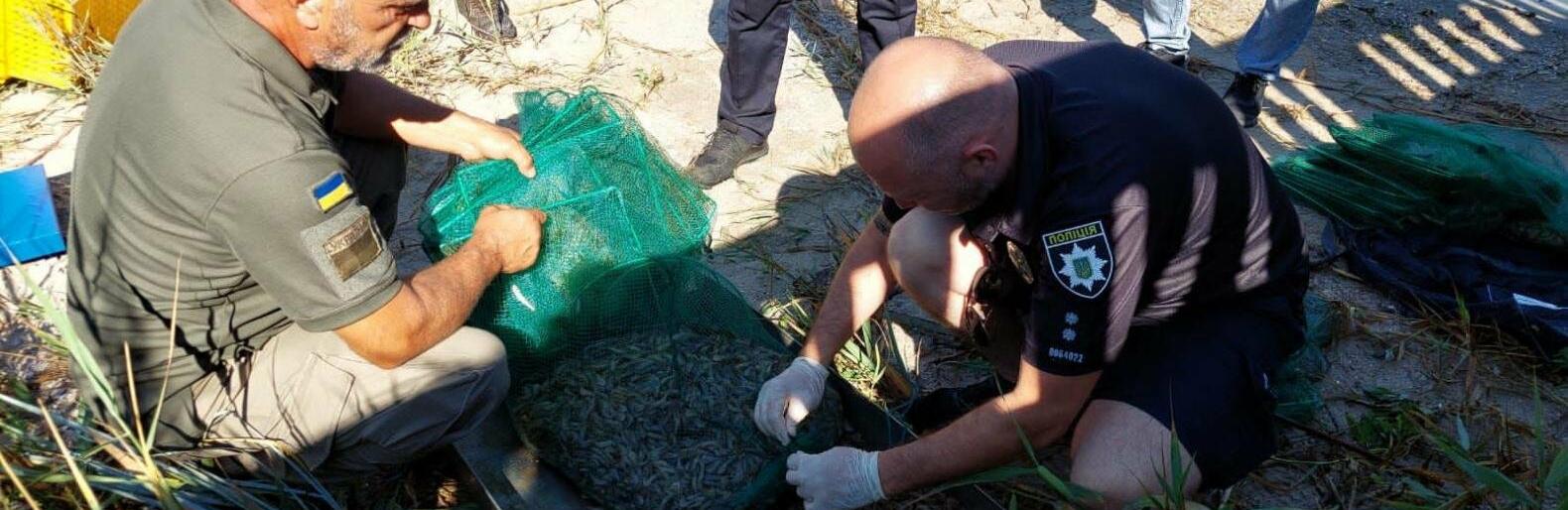  �������������� ������ ������� ���� ���������� 