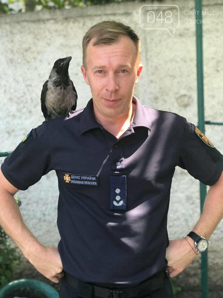  ���� ���������� �������� ������� �������� ������������� ����� ��������� 