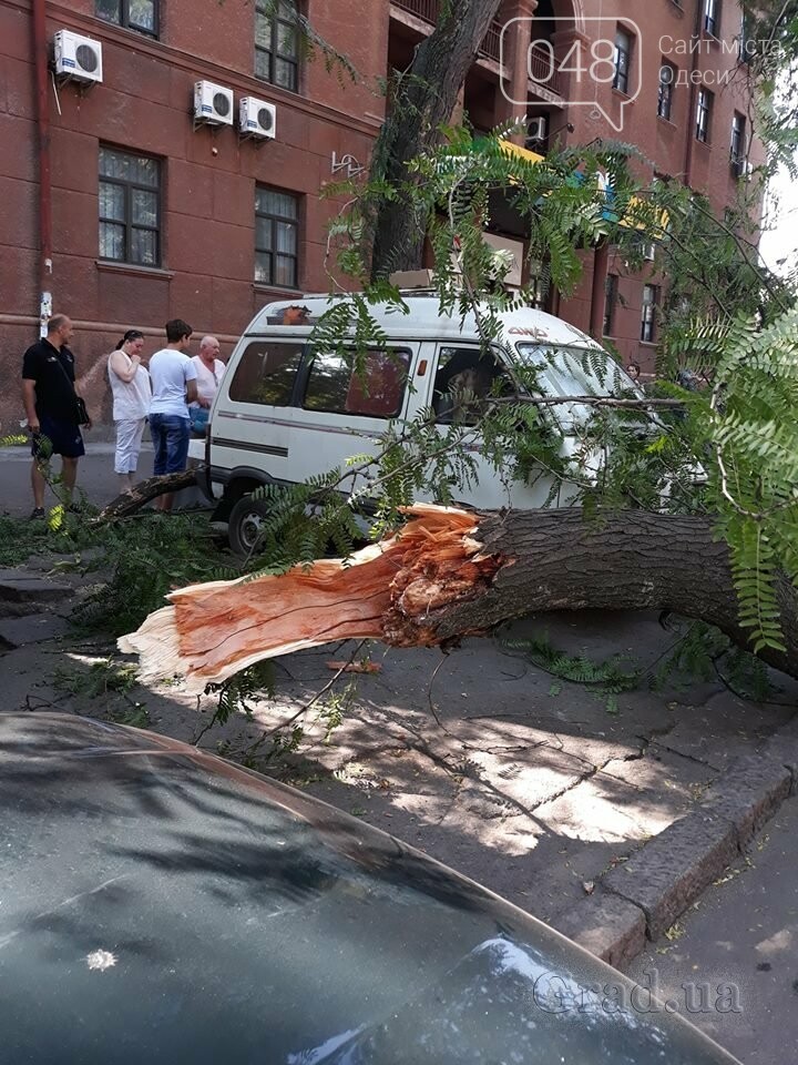  ������ ������ ������� ����� ������ ������� ���� 