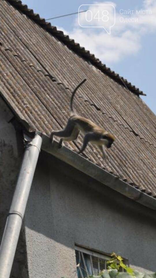  ���������� ������� ���������� �������� ������� ���� 