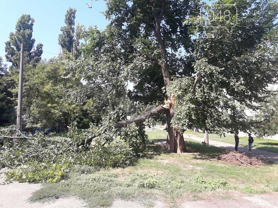  �������� ����� ������� ������ 