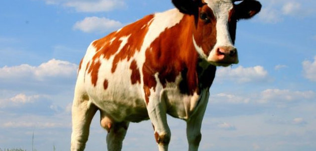  ����������� ���������������� �������� �������� ��������� ����� 