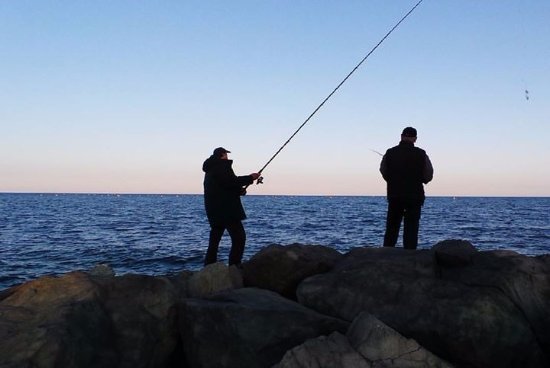  ��������� ����� ����������� ������������ ������� �������� ������� 