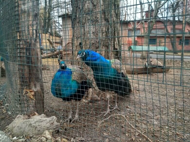 ����: 048.ua