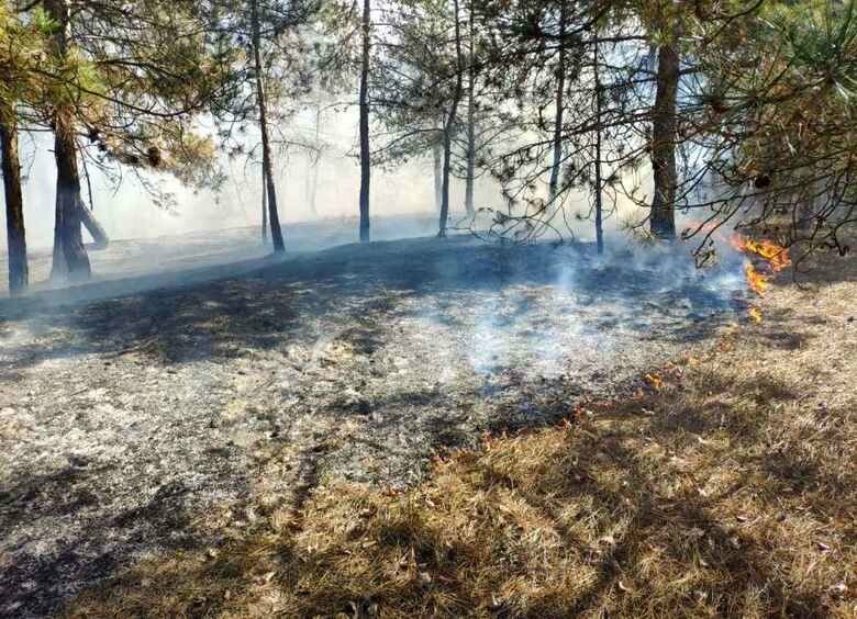  �������� �������� ������� 100 ���������� ������� 