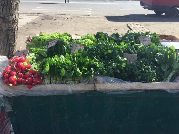  ��������� ����� ������ ������ ����� 