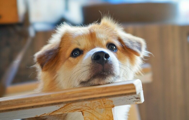  ����� ����� ��������� ��� ������ �������� ���� 