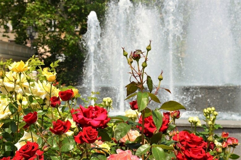  600 ������� �������� ������� �������� ������������� ������ ������ 