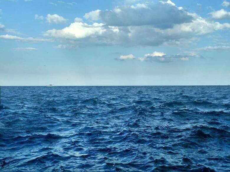  ������ �������� ���� ������ ������ ��������� ���� ����� 