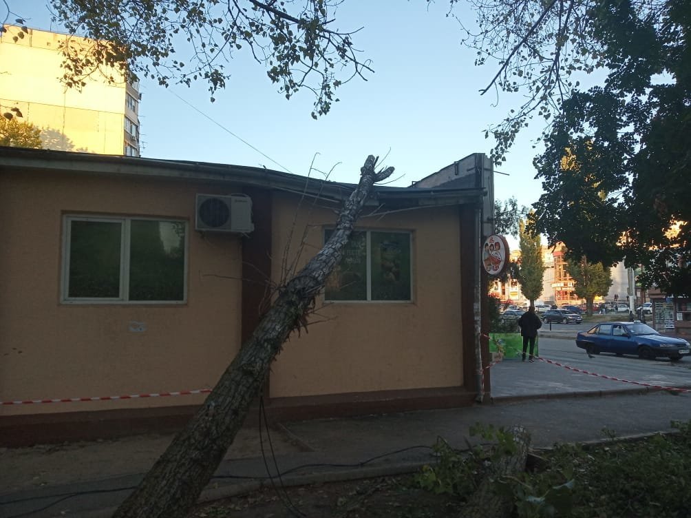  ������ ������� ������� ������ ������� ���� 