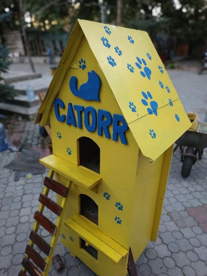  ������ ������ ��������� ������� ����� �������� ���������� ����������� 