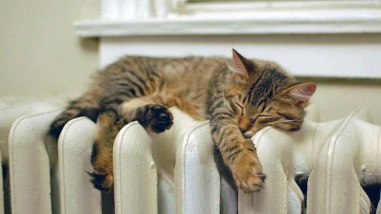  �������� ������������ ������ ��������� �������� ��������� 