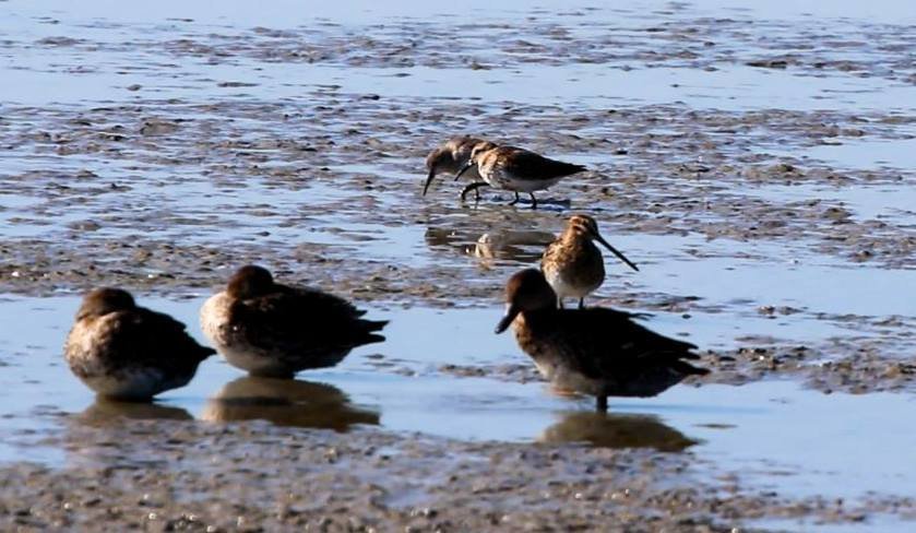  ������������ ����� ������� ������������ ��������� ����� ����� ���� 