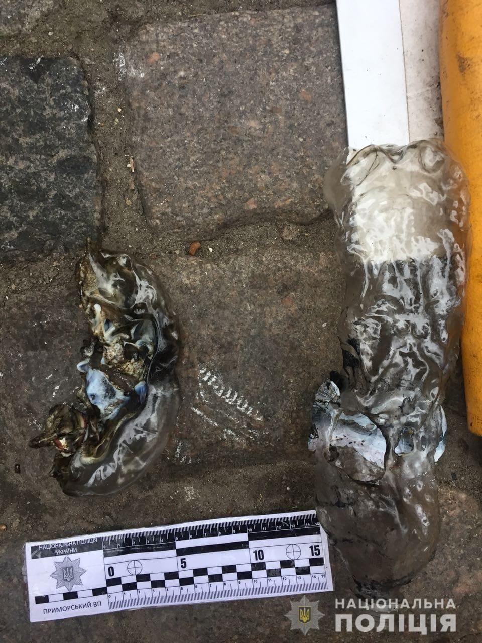  ������� ���������� ����������� ������� ���������� ������ ������ ���� 