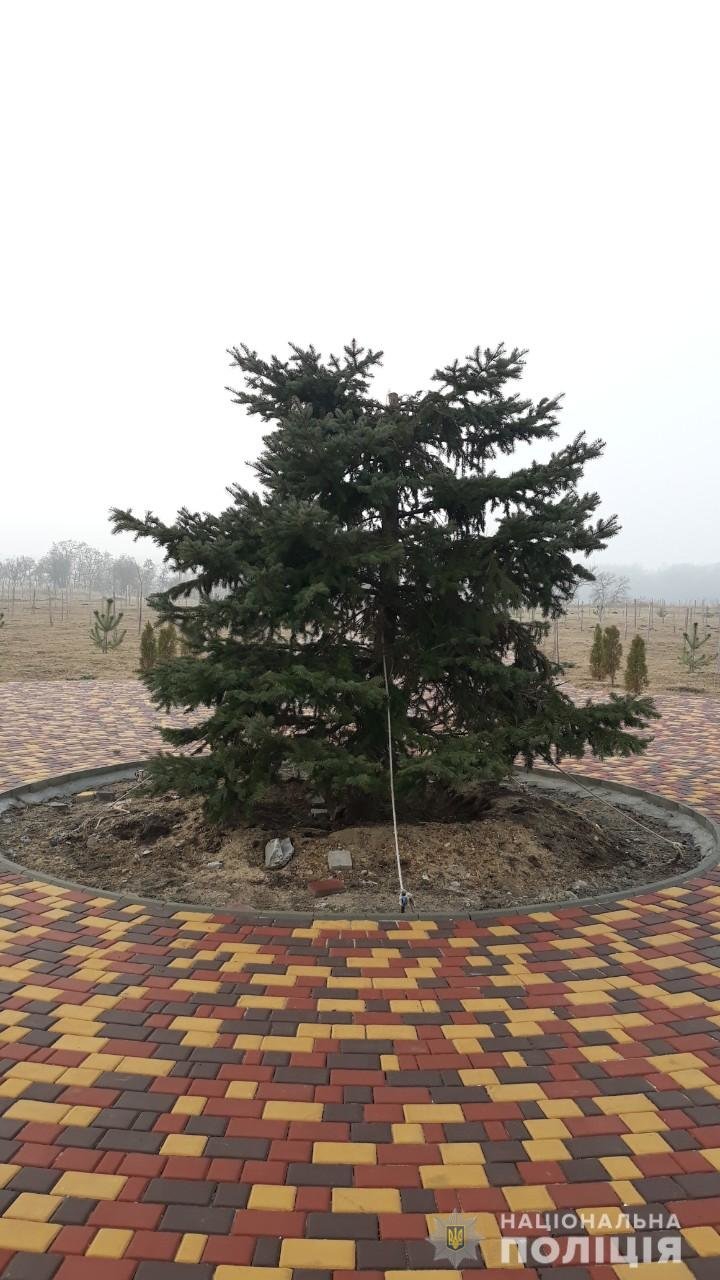  �������� ������� ��������� ������� ��������� �������� ���� 