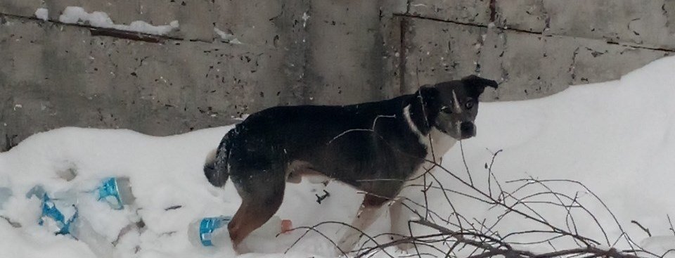  �������� ���� ����������� ������ ������������������ �������� ������� ���� 