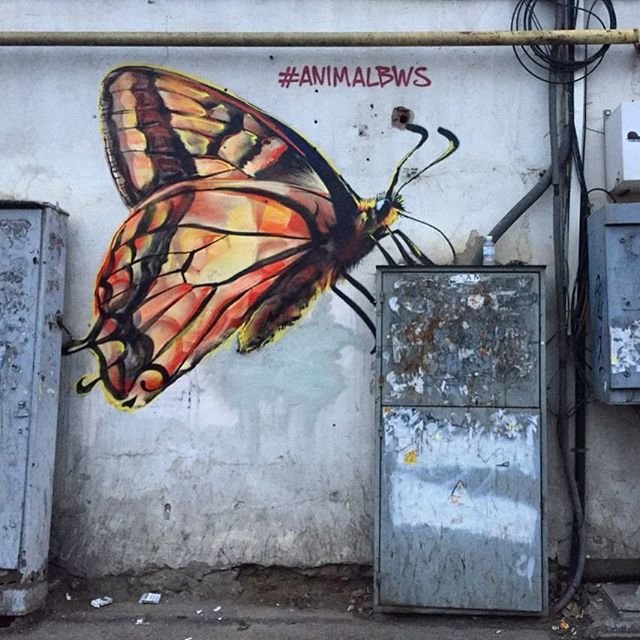  ������ �������� ����� ������� ����� ������� ���� 