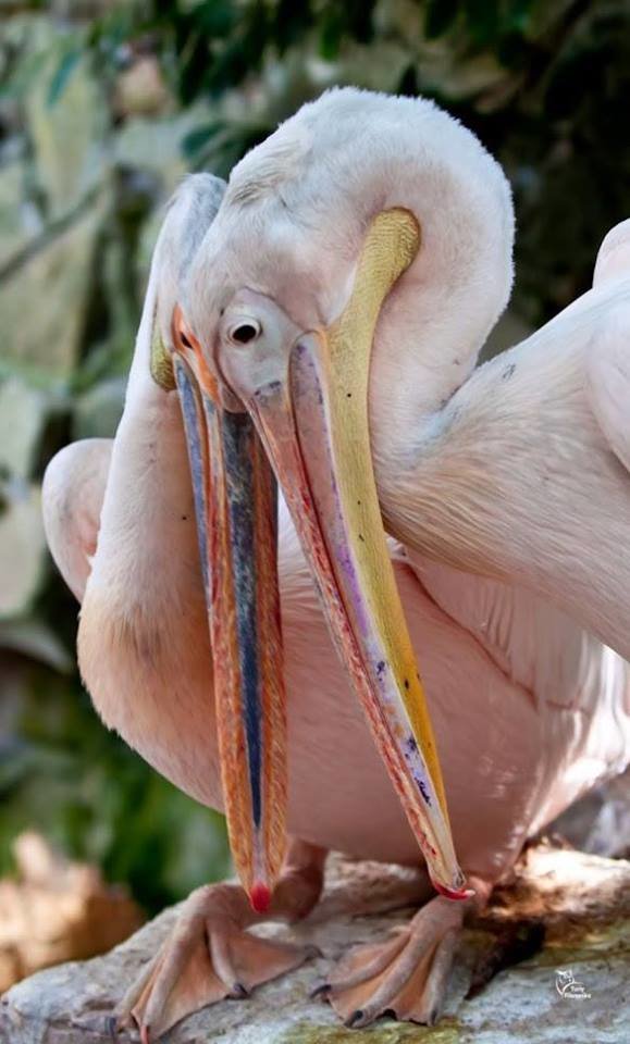 ����: 048.ua