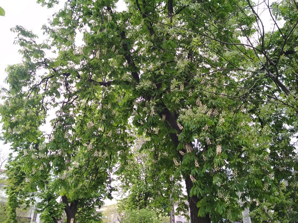  ������ ������ ���������� ������� ���� 