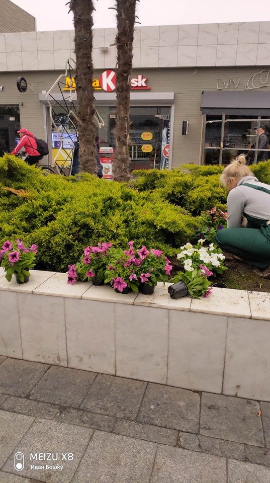  ������� ������ ��������� ������ ���� 