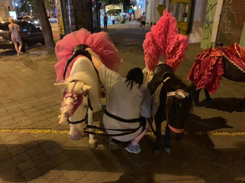  ������ ������ ��������� ���������� ���� ���������� ���� ���� 