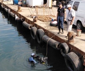  ����������� ���������� ����� ������� ���� 