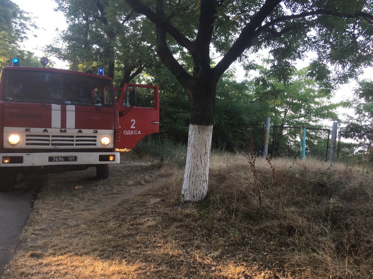  ��� ������ �������� ������ ����� ���� 