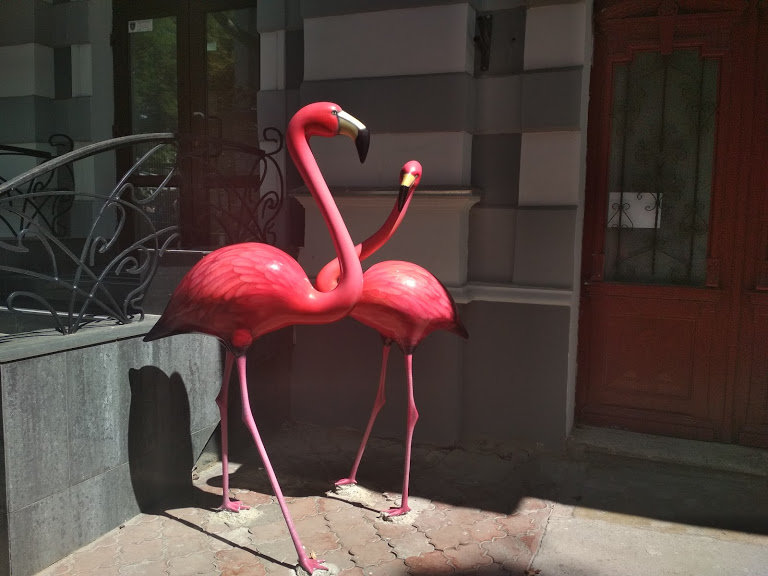  ������ ������ ��������� �������� �������� ���� 