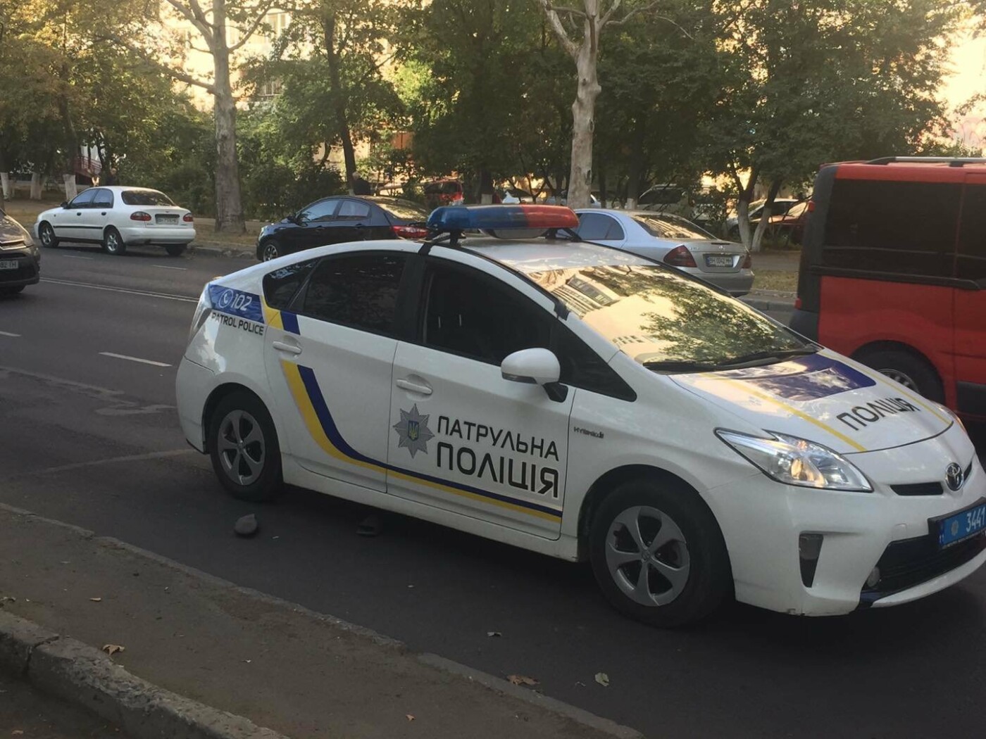  ������ ���������� ������������� ���������� �������� �������� ��������� ����� 