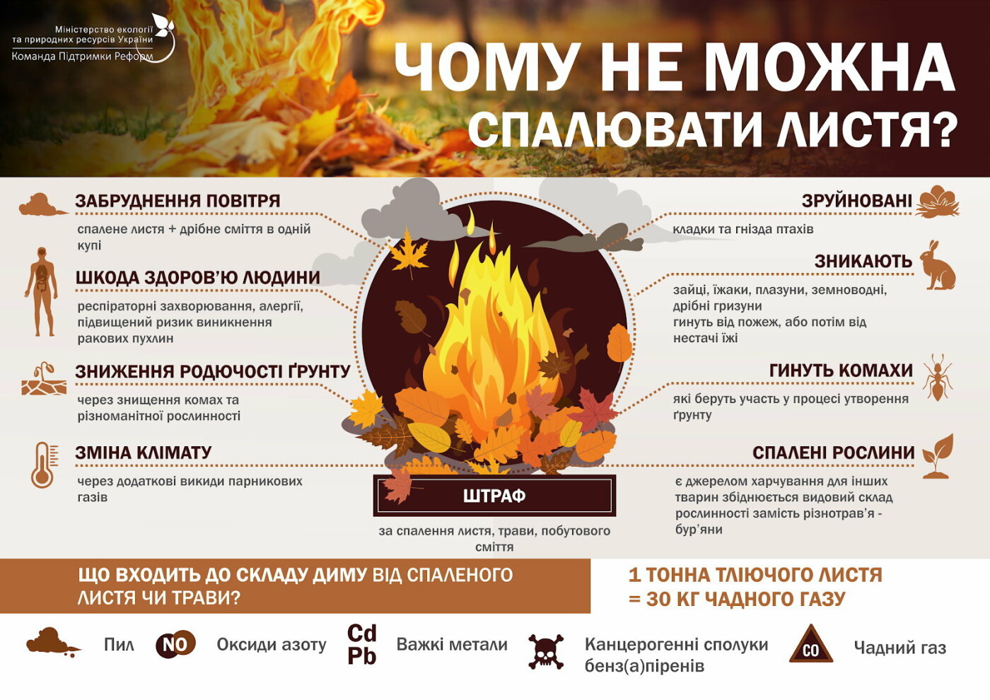  ��������� ������� ������� ������ 