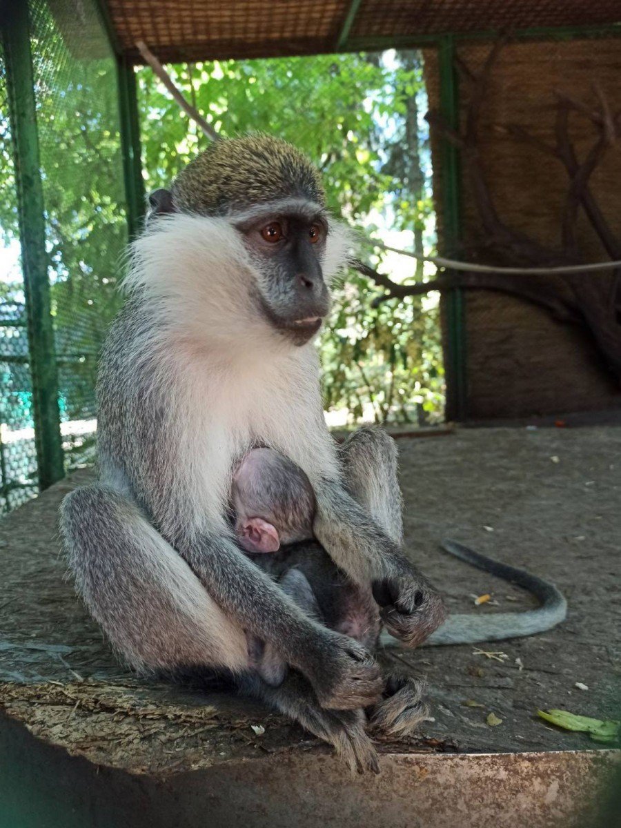  ��������� �������� ���������� �������� ���� 