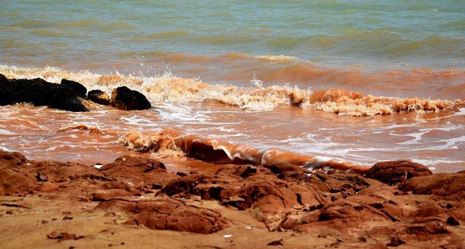  ��������� ����������� ����������� �������� �������� �������� ������� ������� 