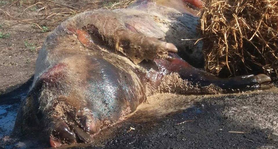 ����: 048.ua