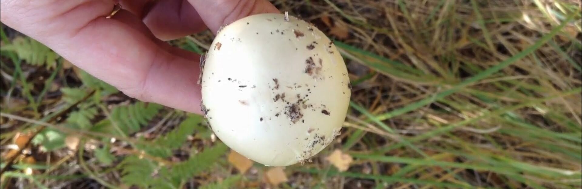  ����� �������� ���� �������� ����������� ����� �������� ������� 