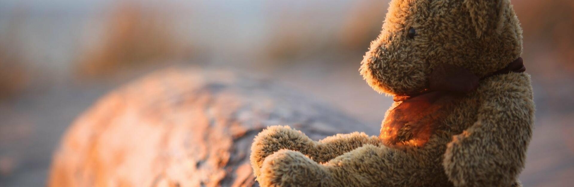  �������� ������ ��-������ ���������� ��������������� ������� 