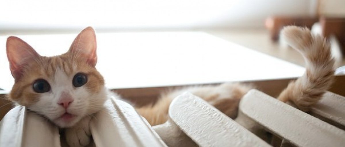 ����: 048.ua