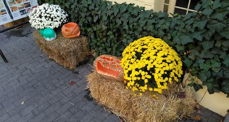  ����� ������ �������� ��������� ���� 