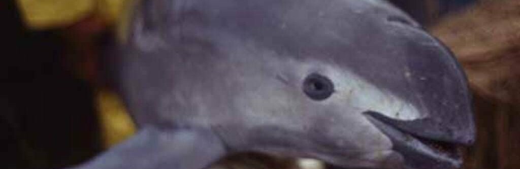 ����: 048.ua