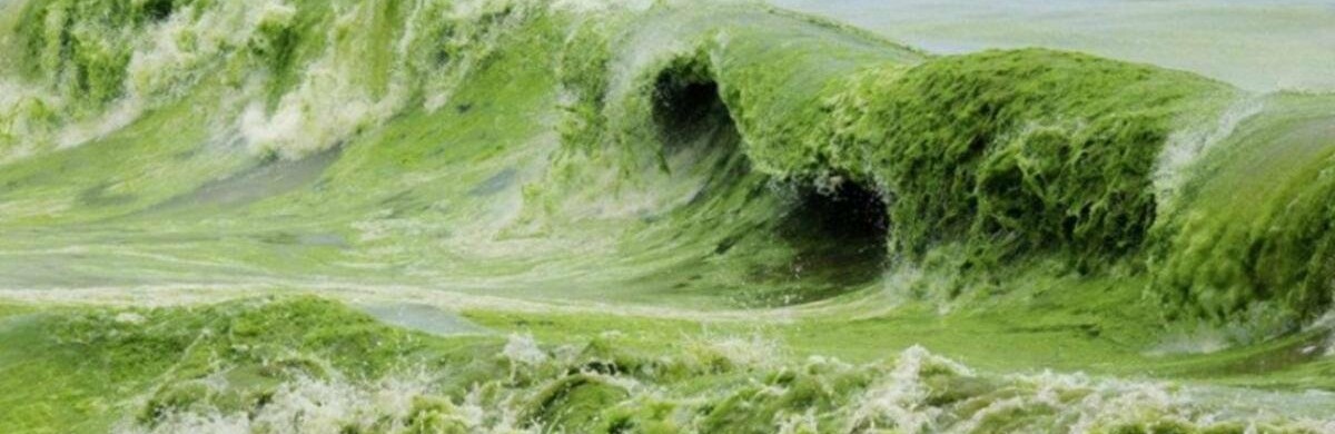  ��������� ������� ������ ������������� �������� ������� ���� ����� 