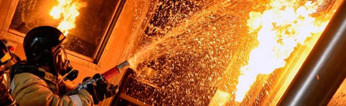  2019 ���������� ������� ����� 151 ������ �������� ������� 