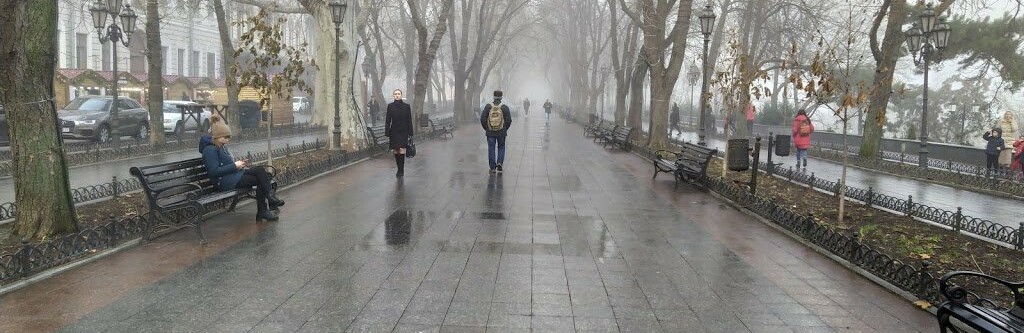  ������ ������ ������� ��������� ����������� 2019 