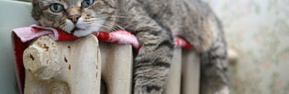  ������ ���������� ����� �������� ������� ������� ����� ��������� 