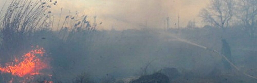  ����� ���� ������ ���������� ����� ������ ������� �������� 